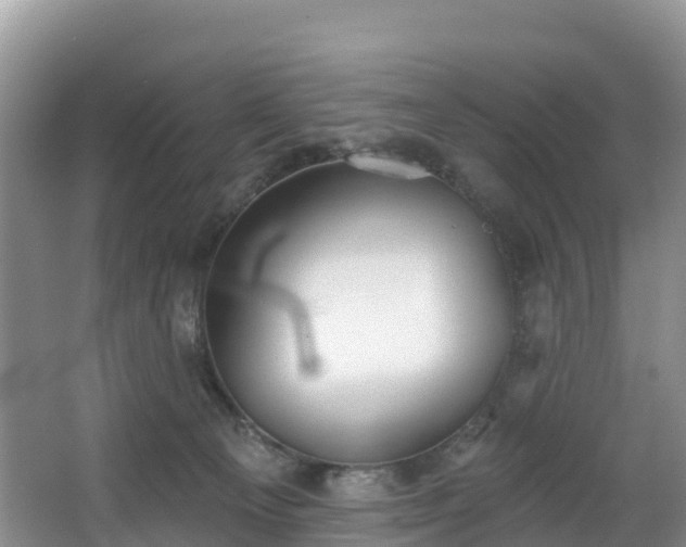 X0000066970129200603311459