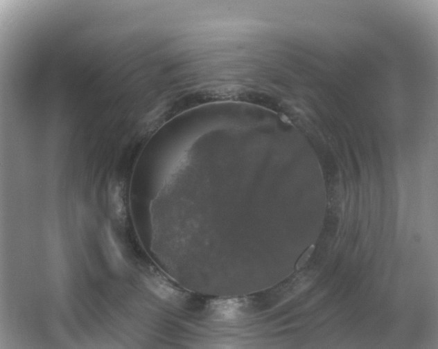 X0000066970131200603311459