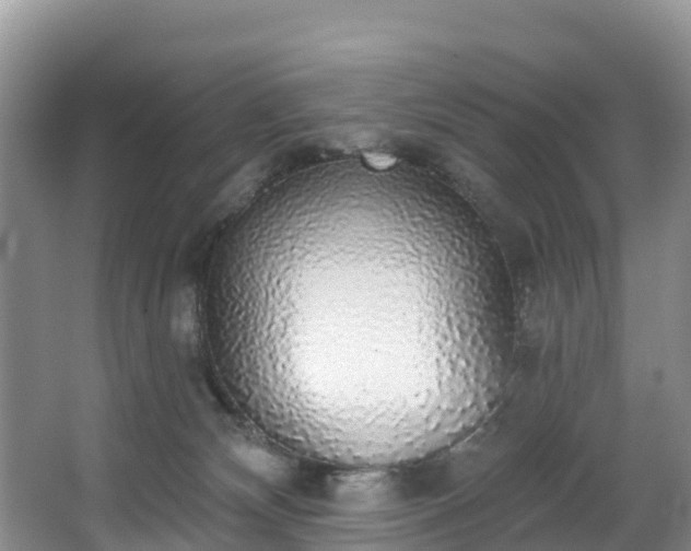 X0000066970132200603311459