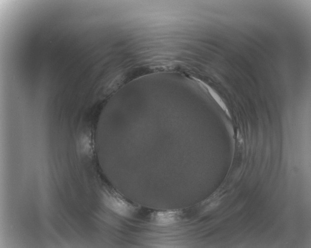 X0000066970134200603311459