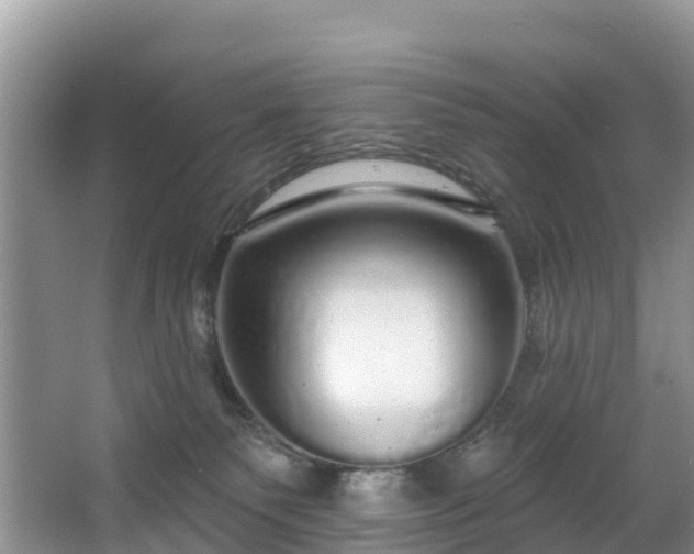 X0000066970135200603311459