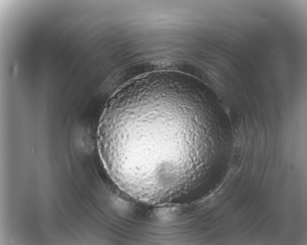 X0000066970136200603311459