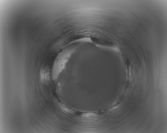 X0000066970137200603311459