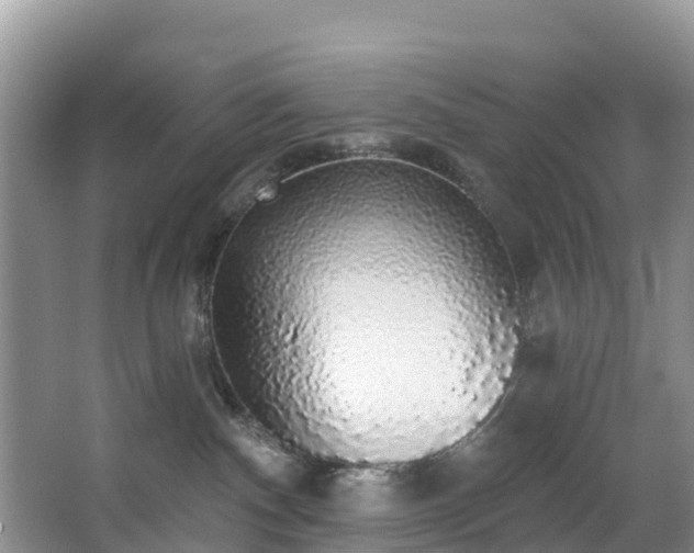 X0000066970140200603311459