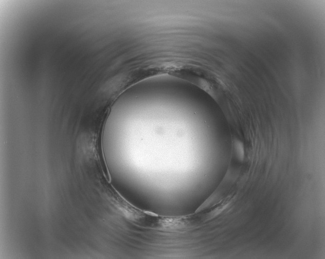 X0000066970141200603311459