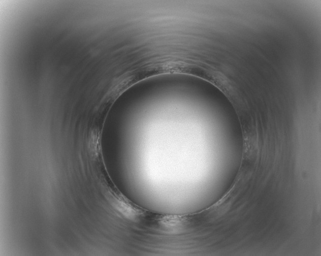 X0000066970142200603311459