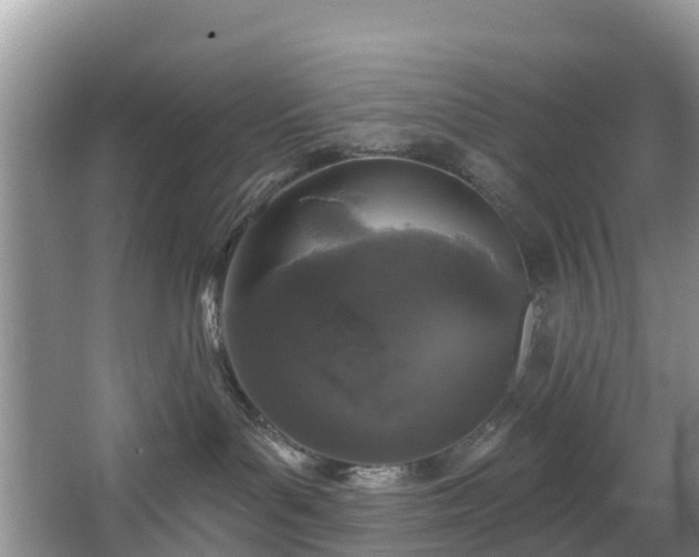 X0000066970143200603311459