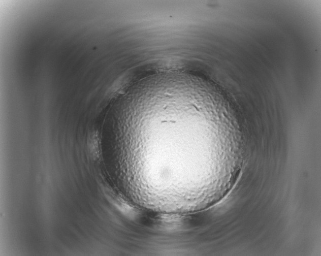 X0000066970144200603311459