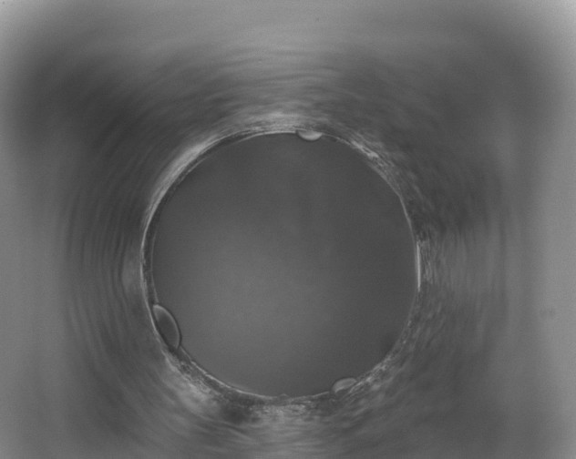 X0000066970147200603311458