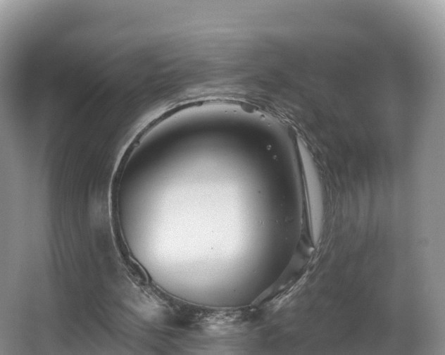 X0000066970148200603311458