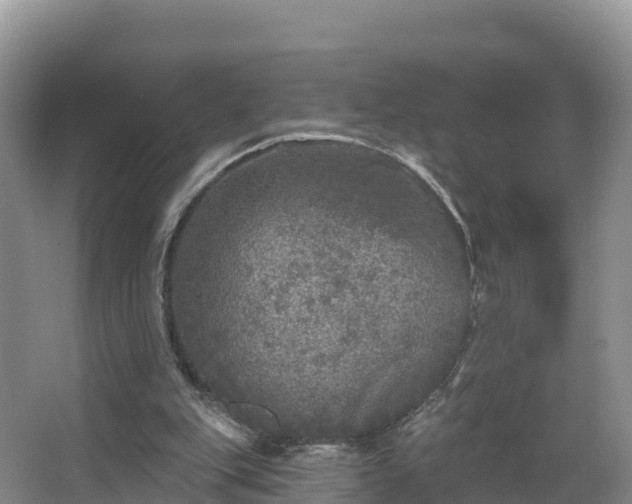 X0000066970151200603311458