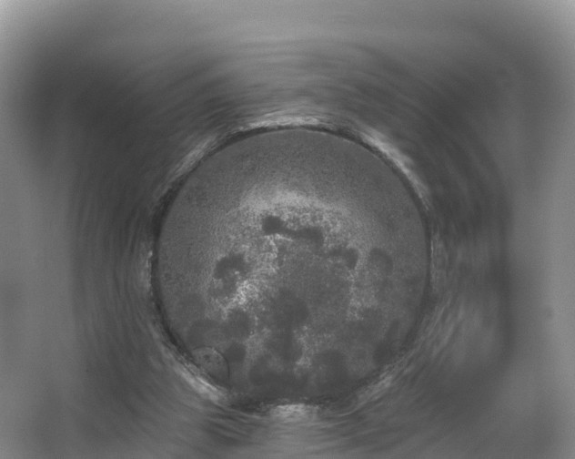 X0000066970153200603311458