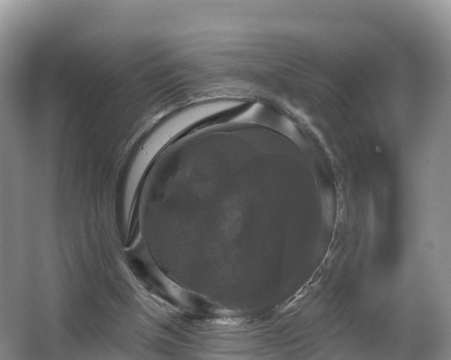 X0000066970154200603311458