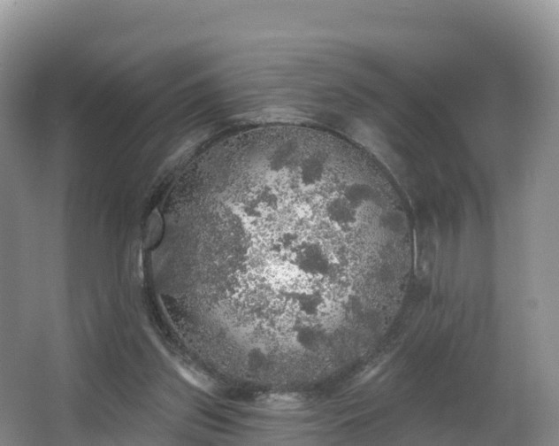 X0000066970157200603311458