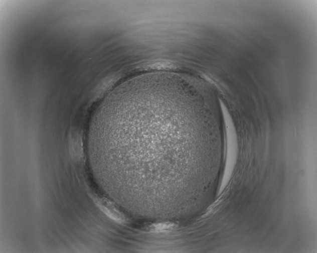 X0000066970158200603311458