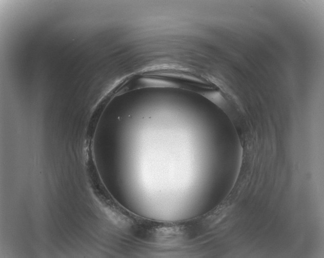 X0000066970160200603311458