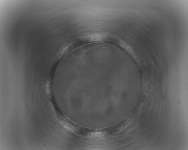 X0000066970161200603311458