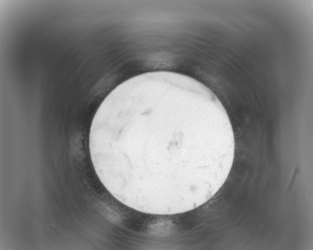 X0000066970162200603311458