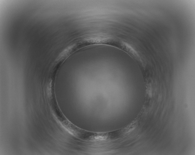 X0000066970163200603311458