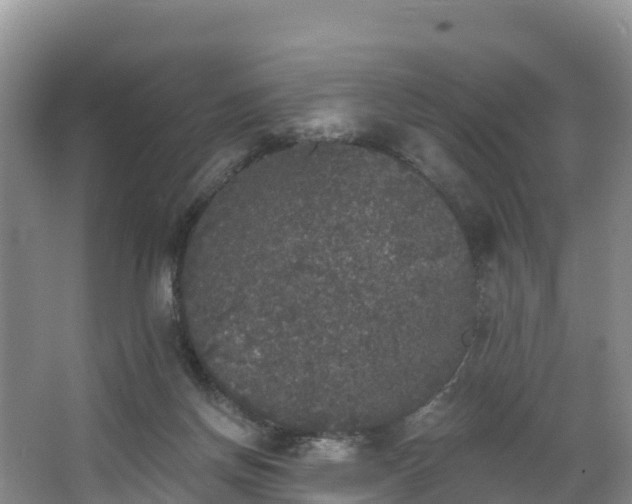 X0000066970166200603311458