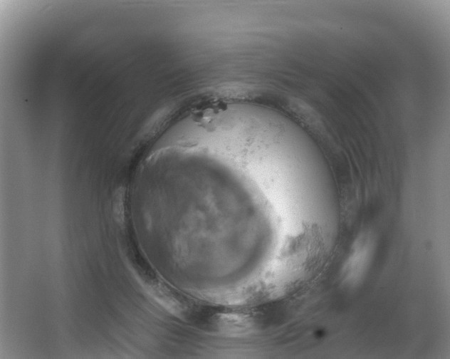 X0000066970167200603311458