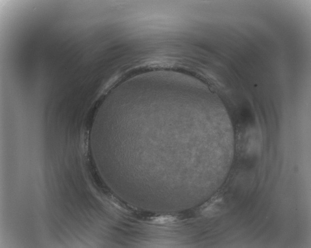 X0000066970168200603311458