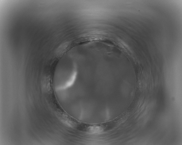 X0000066970169200603311458