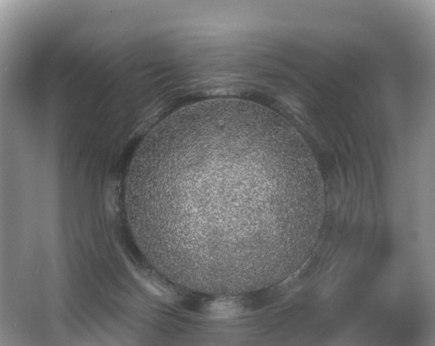 X0000066970171200603311458