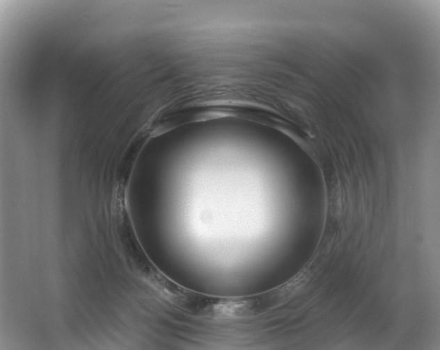 X0000066970172200603311458