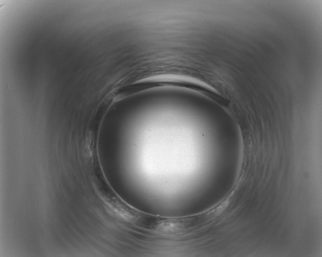 X0000066970174200603311458