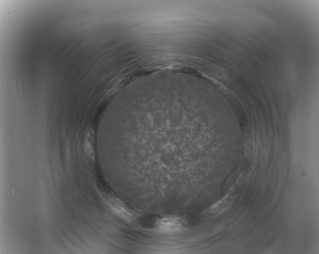 X0000066970175200603311458