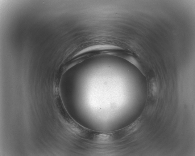 X0000066970176200603311458