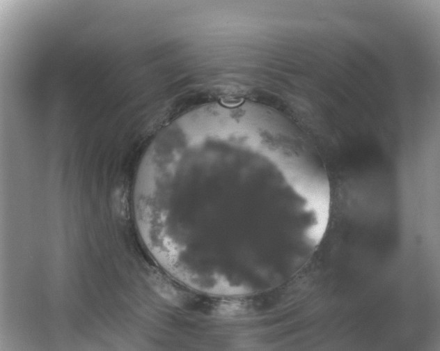 X0000066970177200603311458