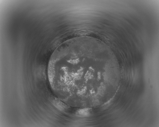 X0000066970178200603311458