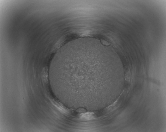 X0000066970179200603311458