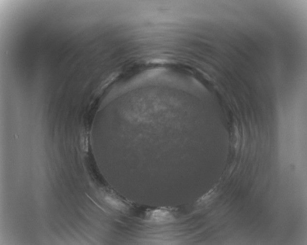 X0000066970180200603311458