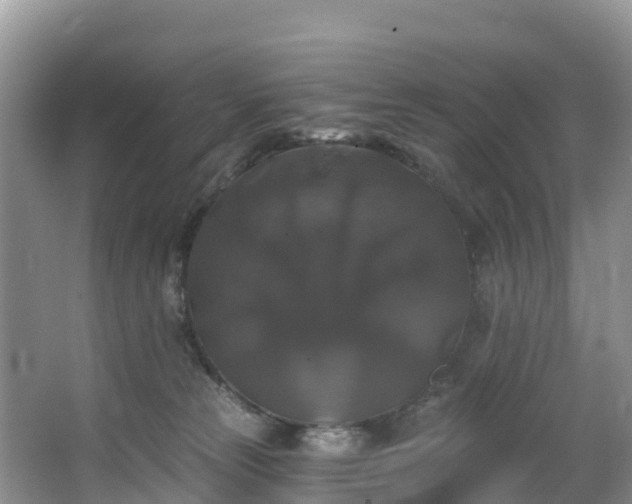 X0000066970181200603311458