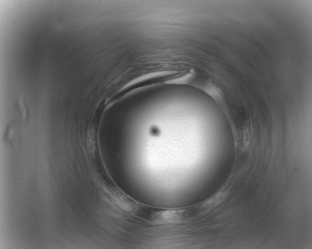 X0000066970184200603311458