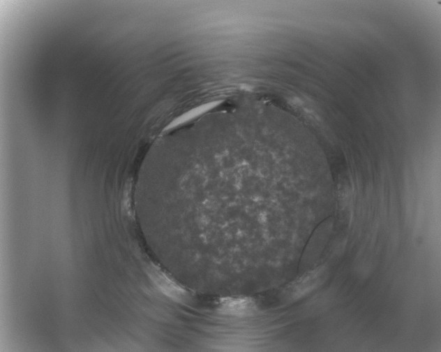 X0000066970185200603311458