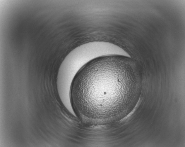 X0000066970186200603311458