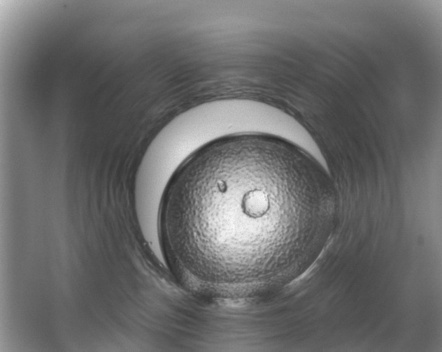 X0000066970187200603311458