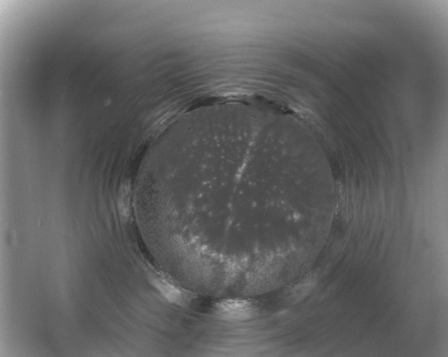 X0000066970189200603311458