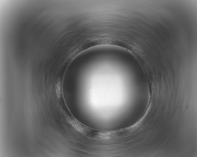 X0000066970190200603311459