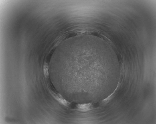 X0000066970191200603311459