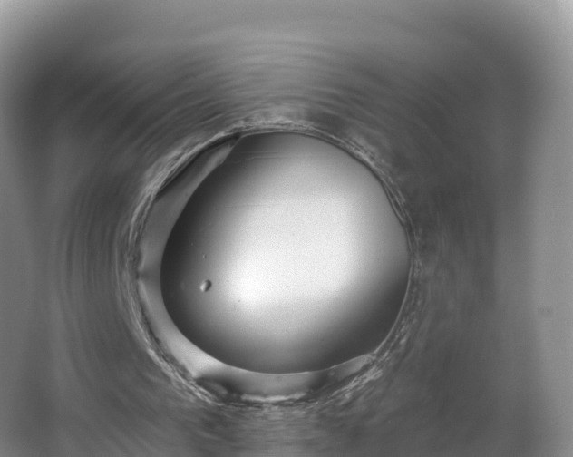 X0000066970193200603311458