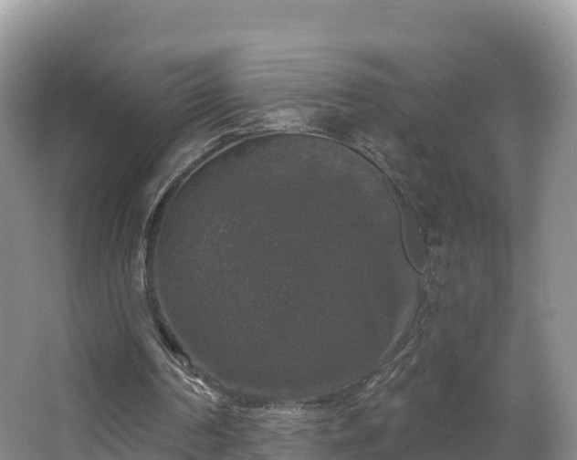 X0000066970194200603311458