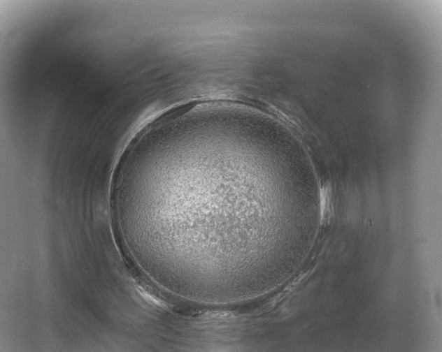 X0000066970195200603311458