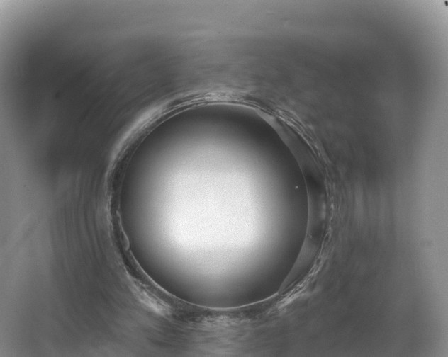 X0000066970197200603311458