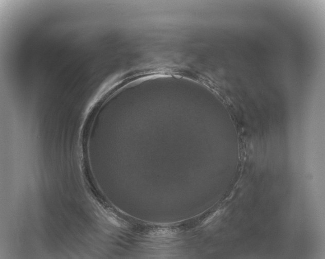 X0000066970198200603311458