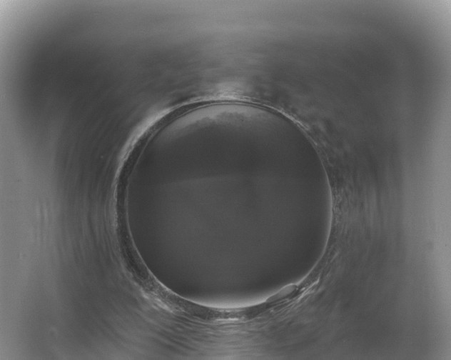 X0000066970200200603311458